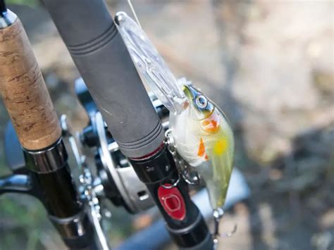 How To Cast A Baitcaster? 11 Things You Need To Know - AquariumPub