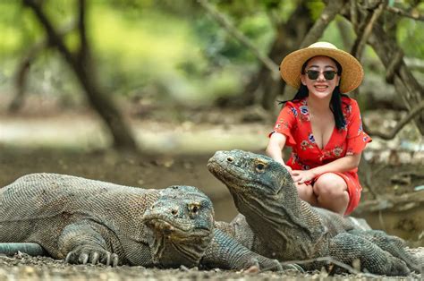 Komodo Full Day Trip By Speed Boat Bali Comoro Tour