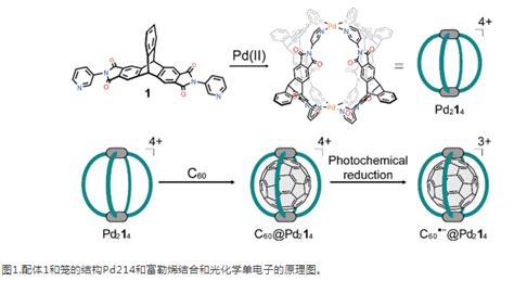 灯笼形配位笼pd214和富勒烯c60的结合和光化学单电子的原理 Udp糖丨mof丨金属有机框架丨聚集诱导发光丨荧光标记推荐西安齐岳生物