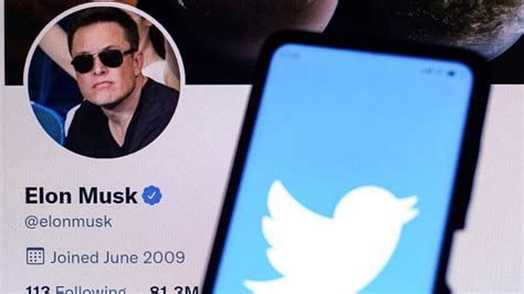 Why Did Elon Musk Not Buy Twitter Social Media Platform Set To Sue