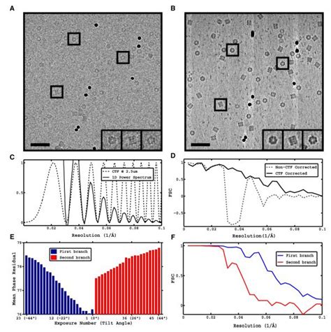 Constrained Single Particle Cryo Electron Tomography Bartesaghi Lab