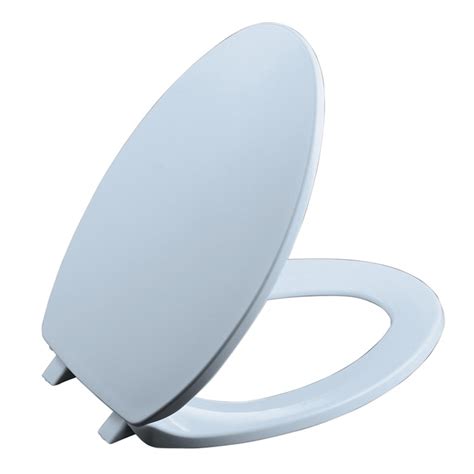 Kohler Brevia Skylight Elongated Toilet Seat In The Toilet Seats