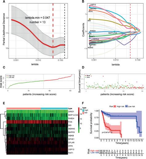 Frontiers Development And Validation Of Autophagy Related Gene