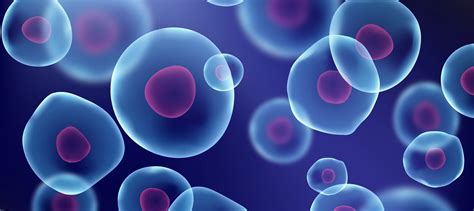 Biology courses | Open Universities Australia 