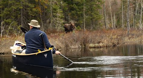 11 Expert Tips For Catching Big Algonquin Brook Trout Page 2 Of 12