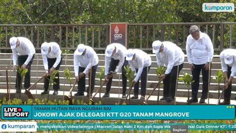 Jokowi Dan Pemimpin Negara G20 Tanam Mangrove Di Tahura Kumparan