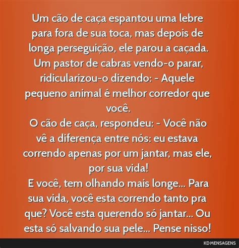 Um Cão De Caça Espantou Uma Lebre Para Fora De Sua Toca Mas