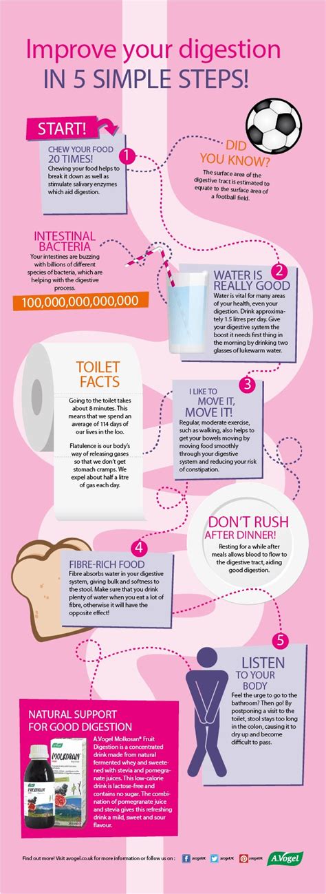 How To Improve Digestion - Economicsprogress5