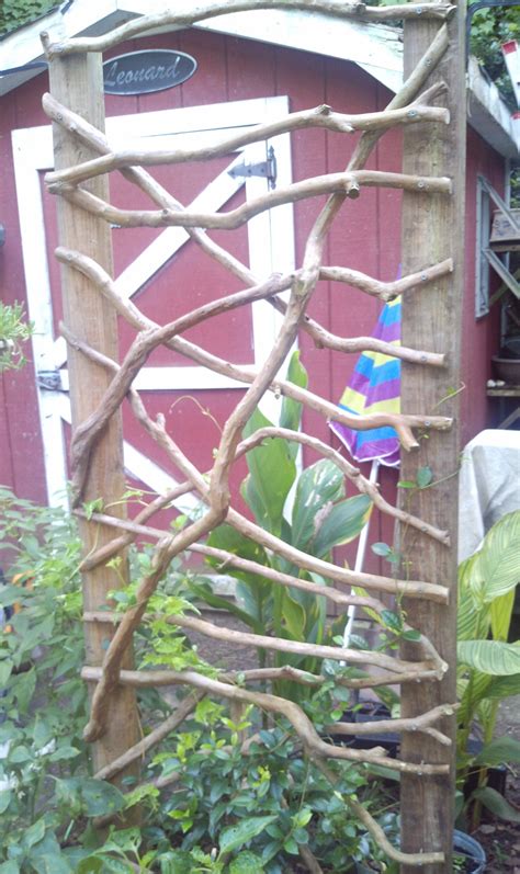 Trellis Made Of Landscaping Timbers And Crepe Myrtle Branches