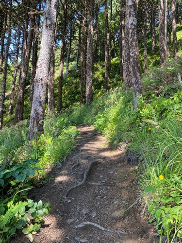 Best Hikes and Trails in Ecola State Park | AllTrails