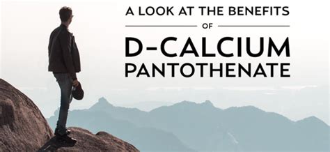 calcium pantothenate benefits and pantothenic acid function | by ...