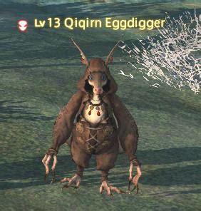 Qiqirn Eggdigger Gamer Escape S Final Fantasy Xiv Ffxiv Ff Wiki