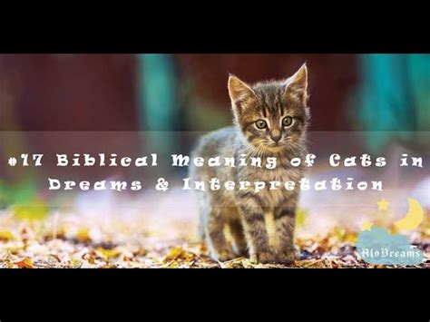 Biblical Meaning Of Cats In Dreams