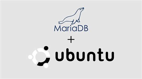 How To Install MariaDB On Ubuntu PixelsPress