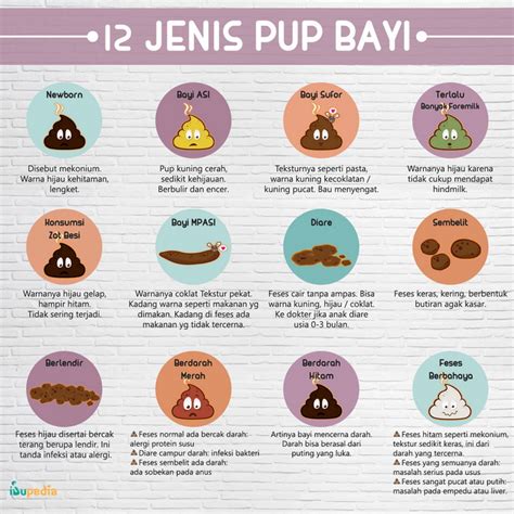 12 Jenis Pup Bayi Ibupedia