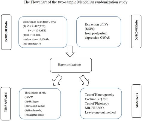 Frontiers Mendelian Randomization Analyses For The Causal