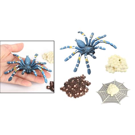 Bird Eating Spider Growth Figure Insect Life Cycle... – Vicedeal