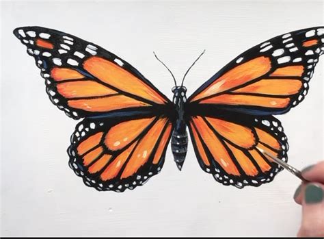 Step By Step Butterfly Easy Drawing And Painting Tutorial Illustration Art Prints And Ts