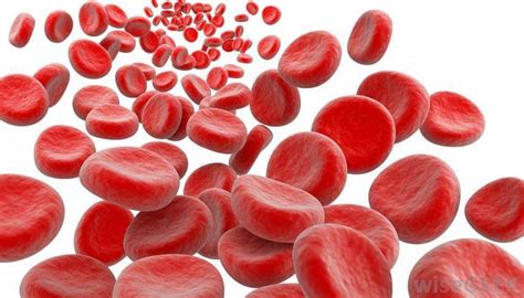 Hemolytic Anemia Causes Symptoms Diagnosis Prevention And Treatment