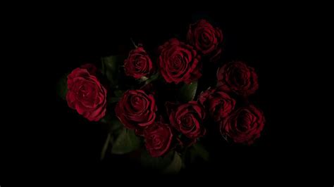 Rose Laptop Wallpapers - 4k, HD Rose Laptop Backgrounds on WallpaperBat