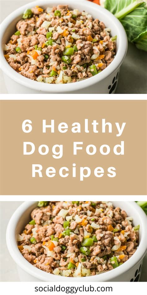 6 Healthy Dog Food Recipes | Healthy dog food recipes, Healthy dog food homemade, Dog food recipes