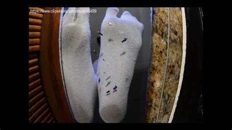 FBC SQUASHES Her Puny Crowd MOV Amateur Soles Giantess And Footjobs Clips Sale