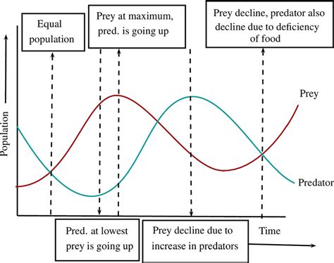 Predation Graph