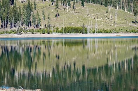 The Ninja Librarian: Photo Friday: Mt. Lassen National Park