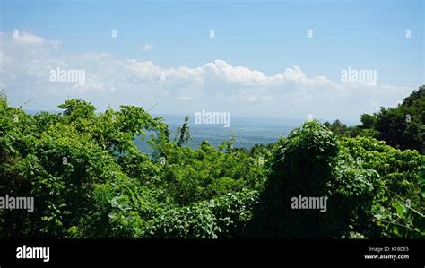 Viewpoint In Samana Over Amazing Green Tropical Landscapes Stock Photo