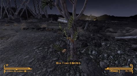 Fallout：newvegas ”by A Campfire On The Trail” Gamegame