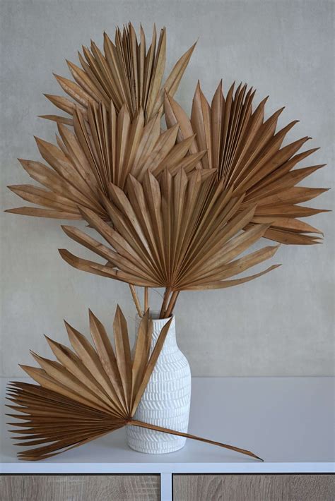 Dried Sun Palm Leaf Fans Flowerfantasee