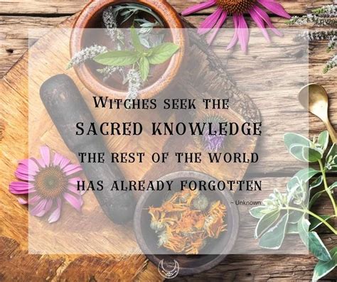 Pin By 𝓐𝓶𝔂 🦇🔮🌙🎃 On ★witchy Woman★ Protectors Of The Earth Knowledge