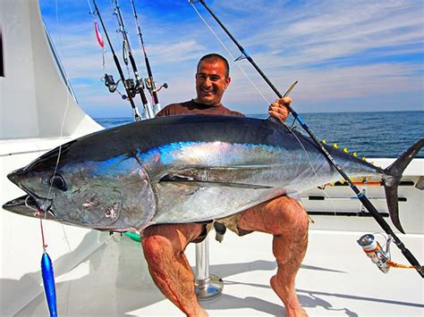 Tuna fishing – Artofit