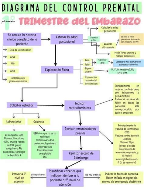 Mapa Conceptual De Control Prenatal Udocz Images And Photos Finder