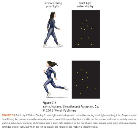 Chapter 5 Perceiving Others Flashcards Quizlet