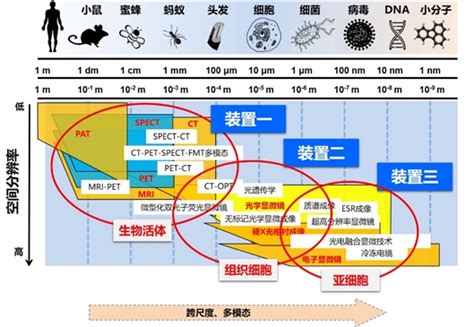 多模态跨尺度生物医学成像设施项目启动