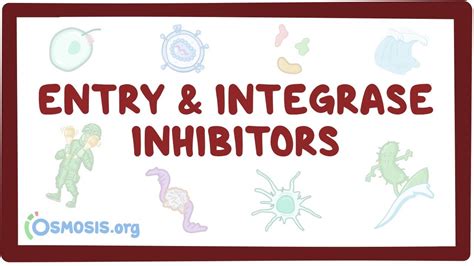 Integrase and entry inhibitors: Video & Anatomy | Osmosis