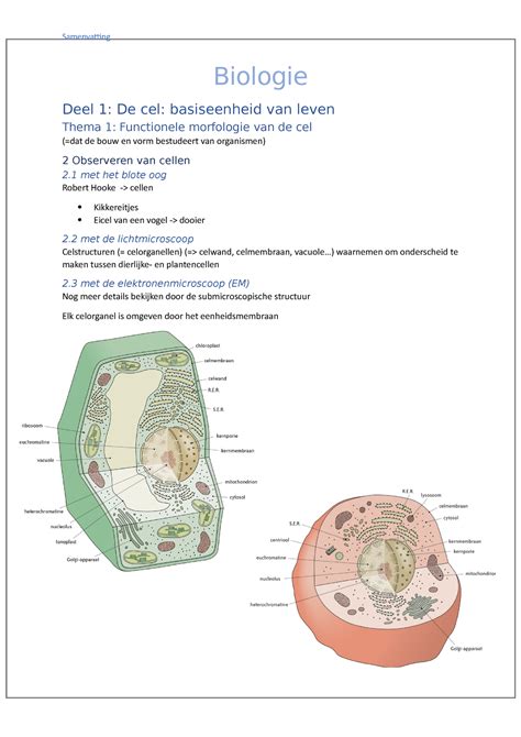 Biologie Sv Amber Biologie Deel 1 De Cel Basiseenheid Van Leven