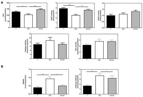 Antioxidants Free Full Text Nutraceutical Supplementation