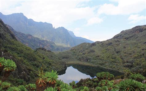 Rwenzori Mountains National Park | Gorilla Safari Experts Uganda