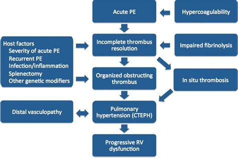 Current Concepts In The Pathogenesis Of Chronic Thromboembolic