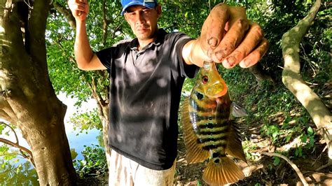 La Mejor Pesca Con Anzuelo En Lo Que Va Del AÑo Cuenten Las Mojarras