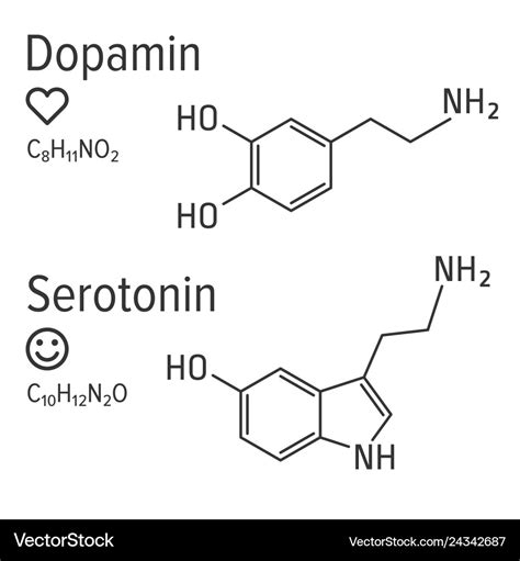 Dopamin And Serotonin Hormones Chemical Royalty Free Vector