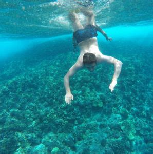 Maui Snorkeling Hawaii Insider