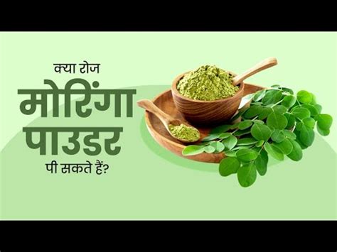 मरग पउडर क फयद Moringa Powder Benefits I Moringa Health