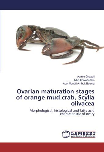 Buy Ovarian Maturation Stages Of Orange Mud Crab Scylla Olivacea