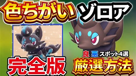 【ポケモンsv 色違い】ゾロアの色違いを最も簡単に入手する場所はここ！良いところ悪いところ紹介【ポケモン スカーレット バイオレット