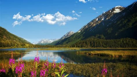 Nature Mountain Landscape Sky Clouds Lake Flowers No Copyright No