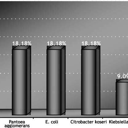 Identificaci N De Microorganismos Gram Negativos Bater As Bioqu Micas