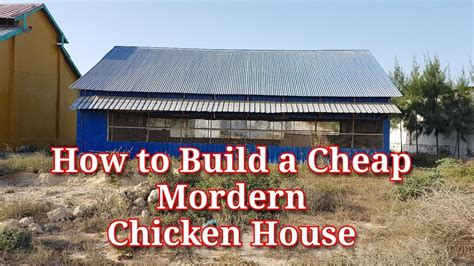 Cost Of Building A Broiler Chicken House